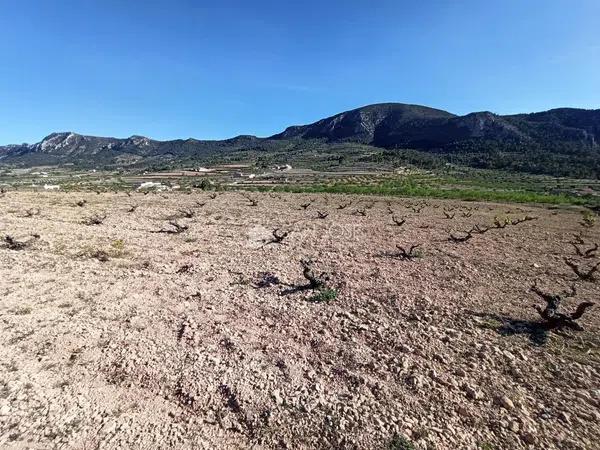 Terreno en La Romana