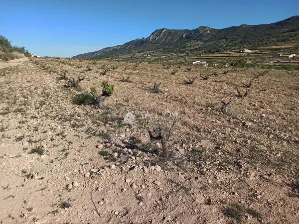 Terreno en La Romana