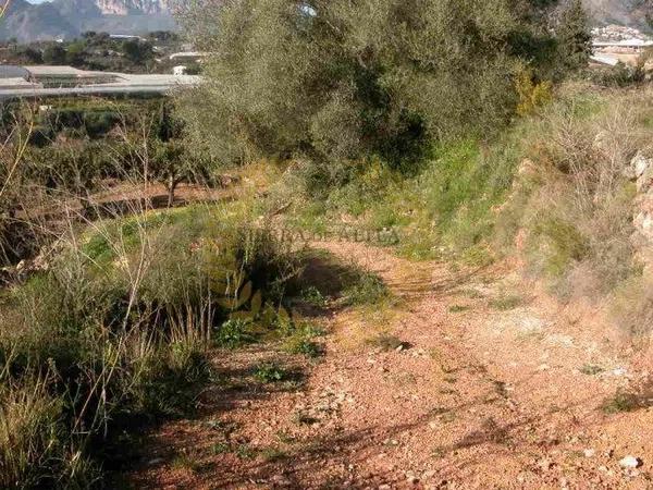 Terreno en Partida Segarra