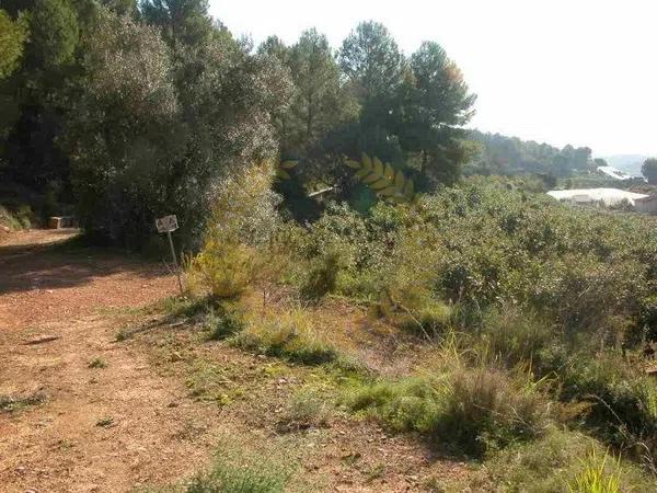 Terreno en Partida Segarra