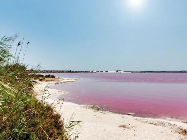 Terreno en Barrio La Siesta - El Salado - Torreta