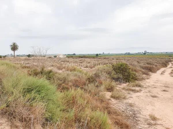 Terreno en La Marina, 49 -205