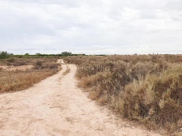 Terreno en La Marina, 49 -205