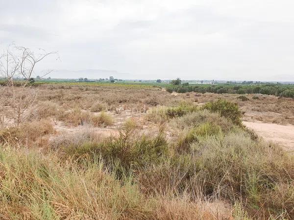 Terreno en La Marina, 49 -205