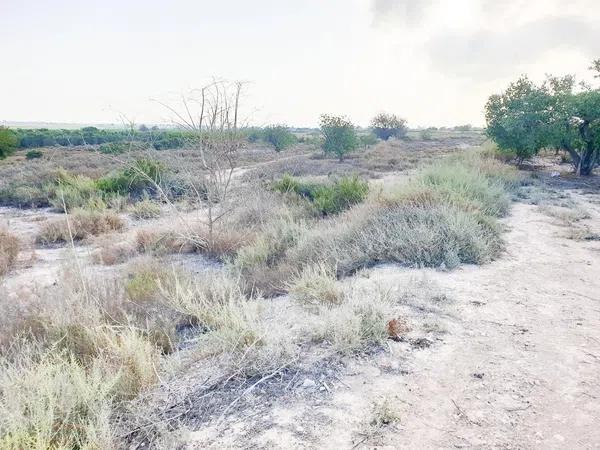 Terreno en La Marina, 49 -205