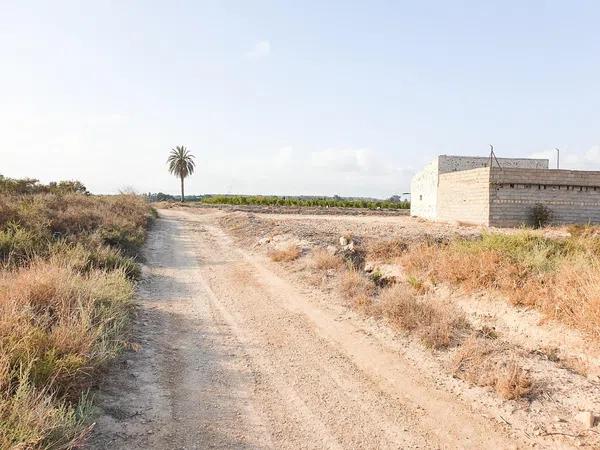 Terreno en La Marina, 49 -205