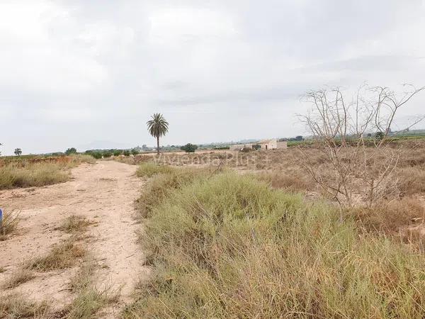 Terreno en La Marina, 49 -205