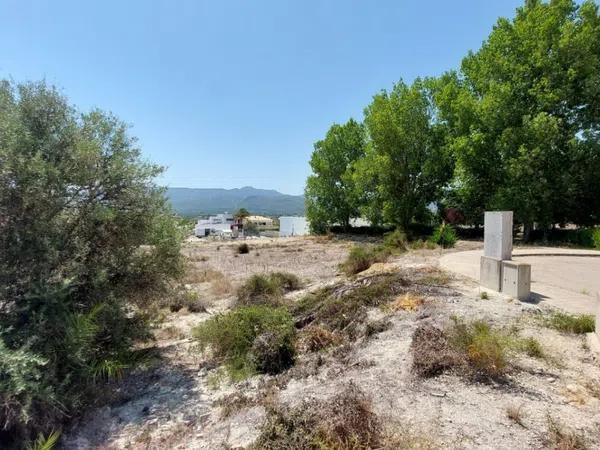 Terreno en calle Miguel Hernandez, 7