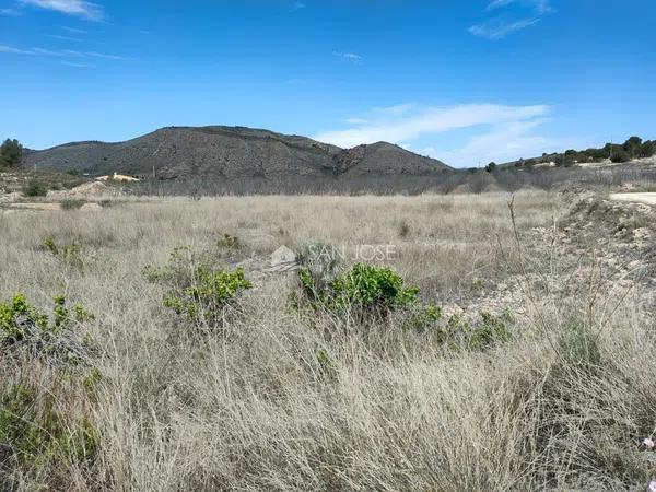 Terreno en Hondón de las Nieves