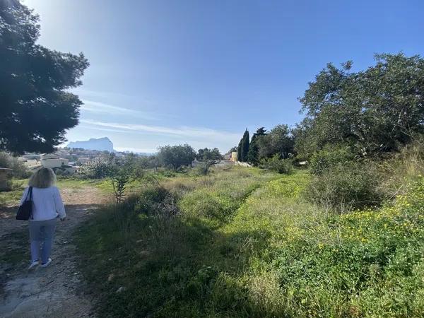 Terreno en Cometa-Carrió