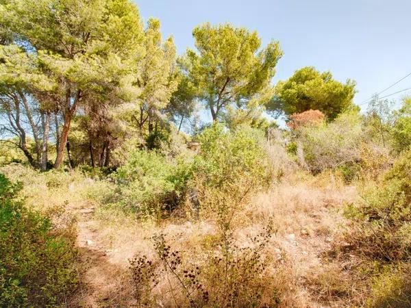 Terreno en Cala Advocat - Baladrar