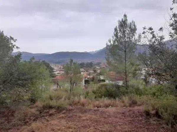 Terreno en Alcalalí