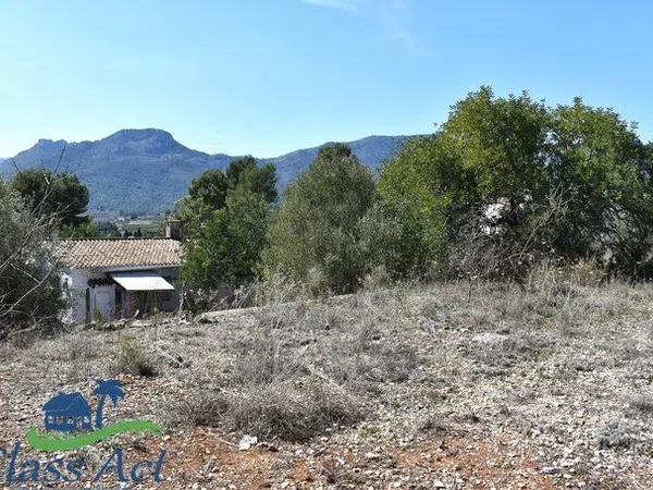 Terreno en Alcalalí