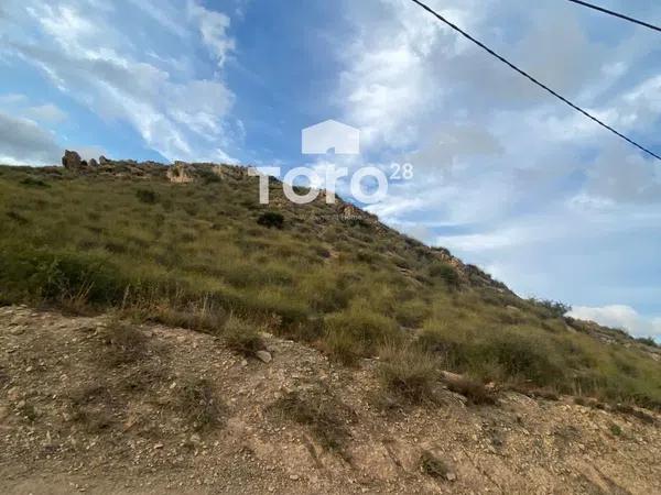 Terreno en avenida Serreta Ramos