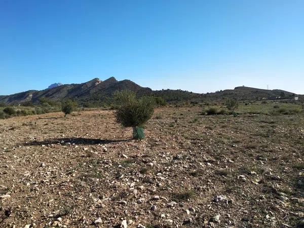 Terreno en Fasamai -Relleu