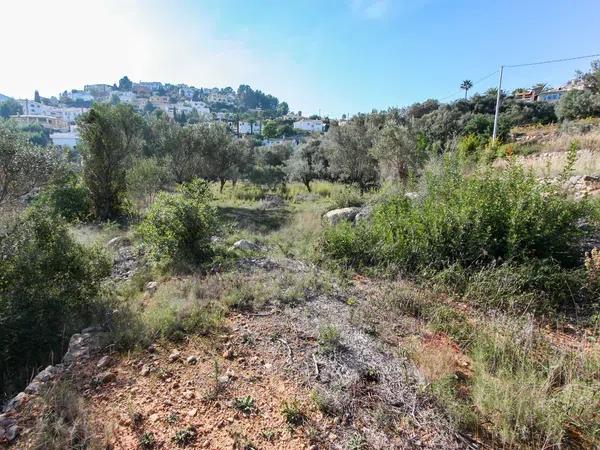 Terreno en Orba