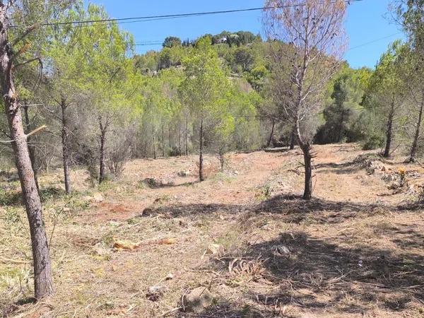 Terreno en Les Rotes/Las Rotas