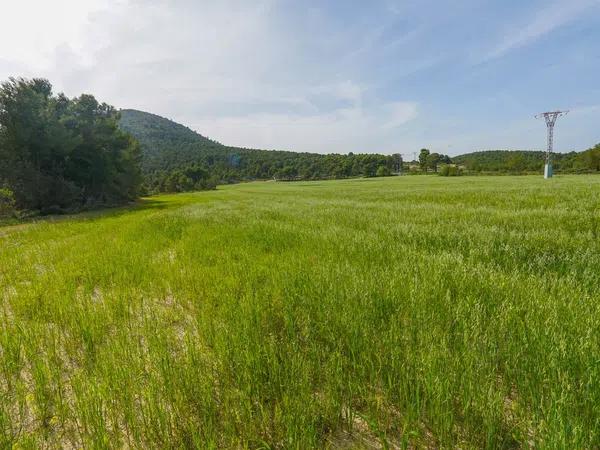 Terreno en juan carlos, 1