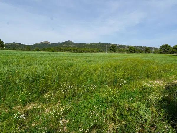 Terreno en juan carlos, 1