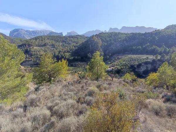 Terreno en Partida Maset, km 2