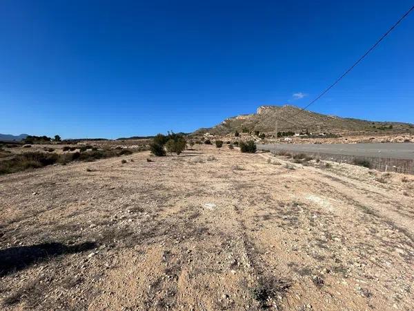 Terreno en Partida Horna Alta