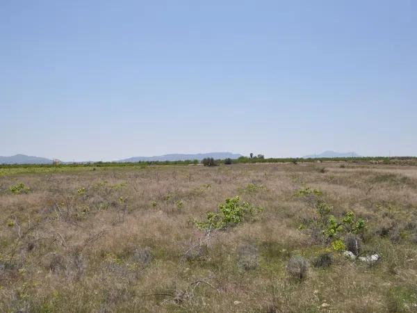 Terreno en Pinoso