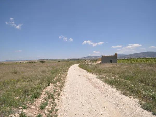 Terreno en Pinoso