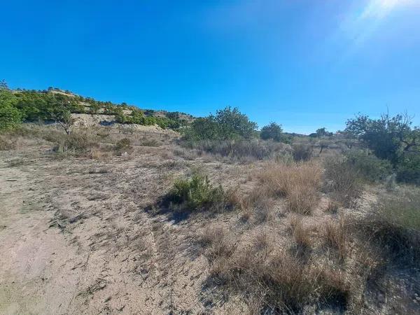 Terreno en Cañada del Fenollar