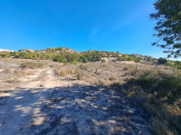 Terreno en Cañada del Fenollar