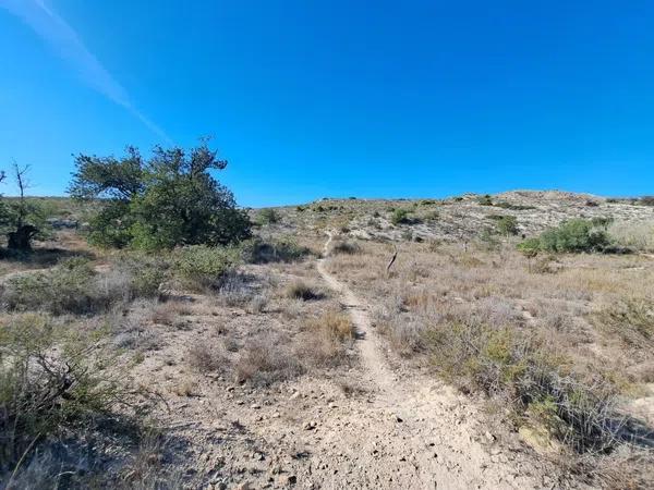 Terreno en Cañada del Fenollar