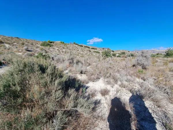 Terreno en Cañada del Fenollar