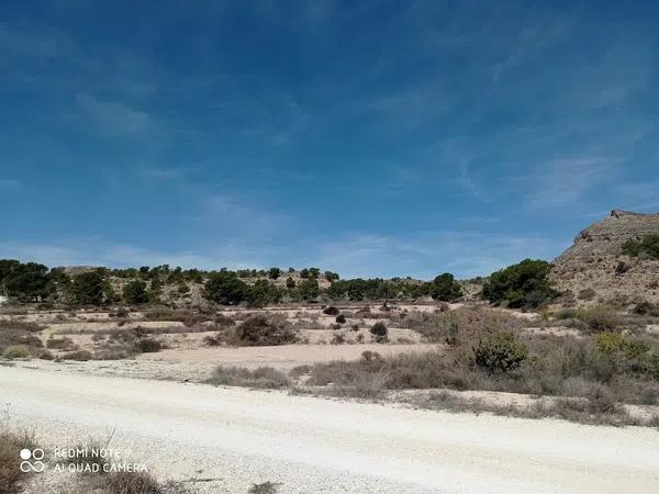 Terreno en Partida el Boter