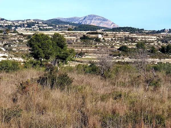 Terreno en Benimeit-Tabaira