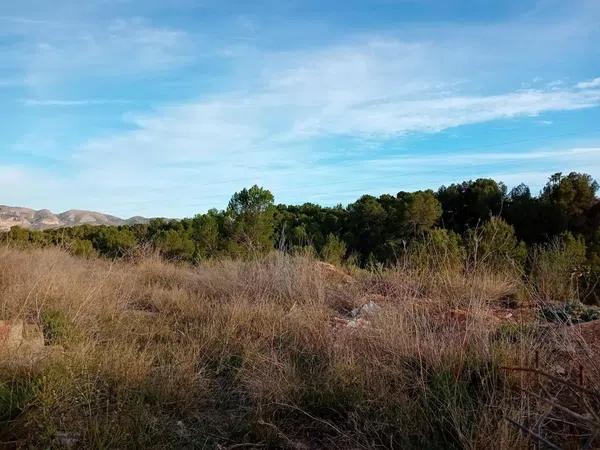 Terreno en Colonia Escandinavia-Cautivador