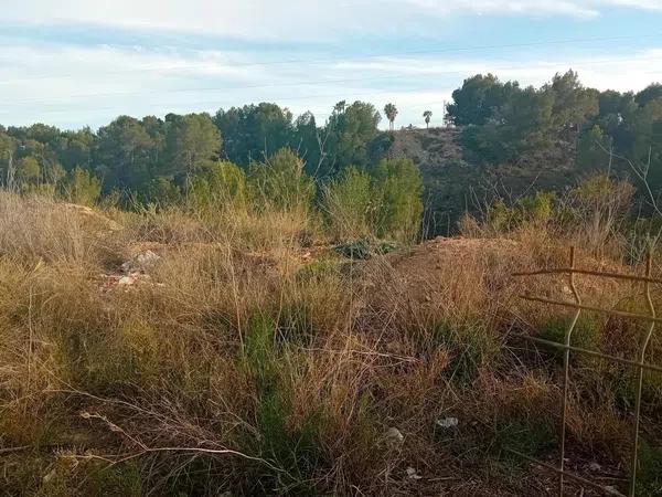 Terreno en Colonia Escandinavia-Cautivador