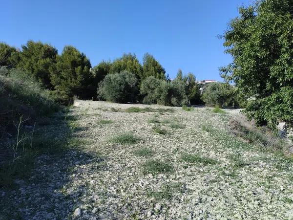 Terreno en Partida Sant Antoni