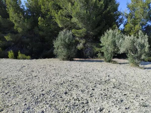 Terreno en Partida Sant Antoni