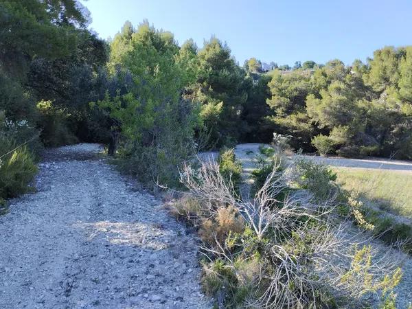 Terreno en Partida Sant Antoni