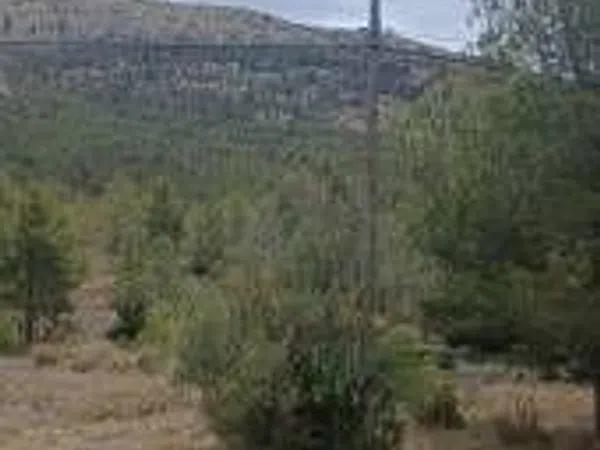 Terreno en plaza Foya del Cac