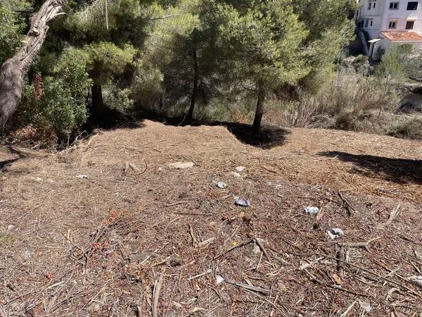 Terreno en Cala Advocat - Baladrar