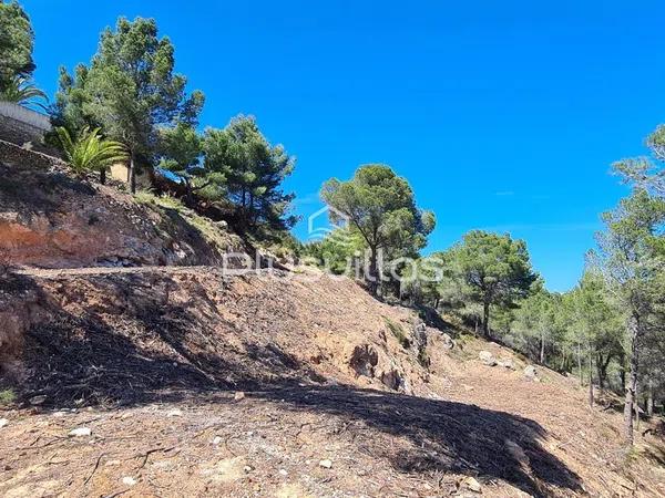 Terreno en Partida Oltamar