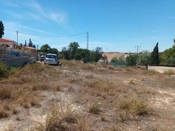 Terreno en calle Pintor Llorens Casanova