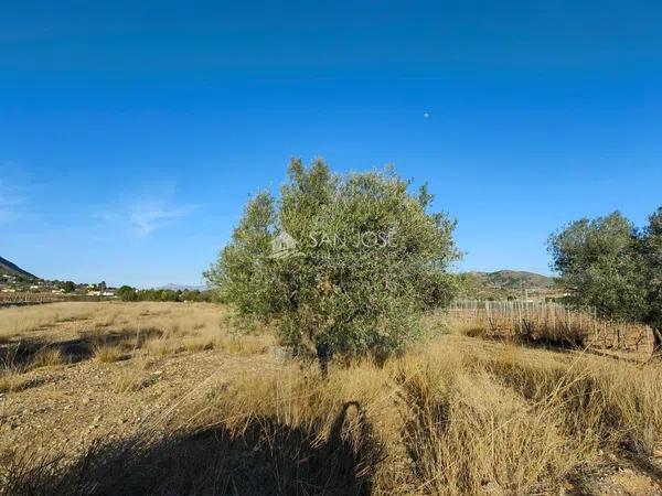 Terreno en Hondón de las Nieves