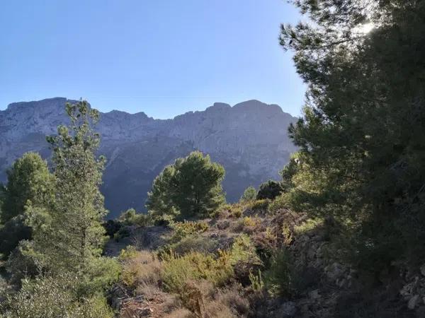 Terreno en Jalón