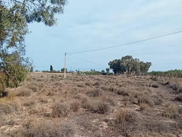 Terreno en Torrellano