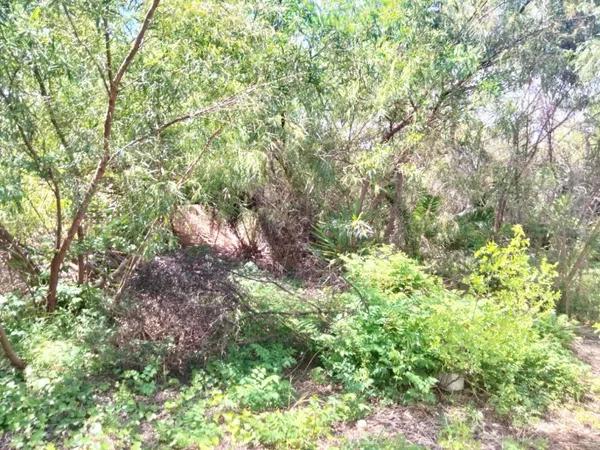 Terreno en calle Riu del Vedat