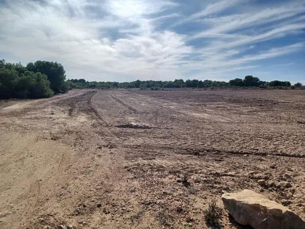 Terreno en Partida Altet