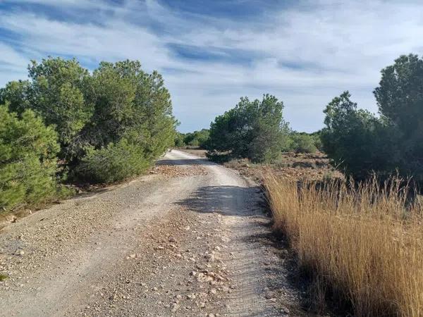 Terreno en Partida Altet