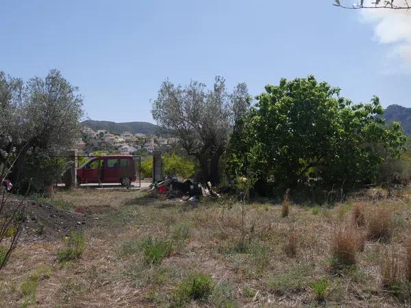 Terreno en camino dels Plans, km 1