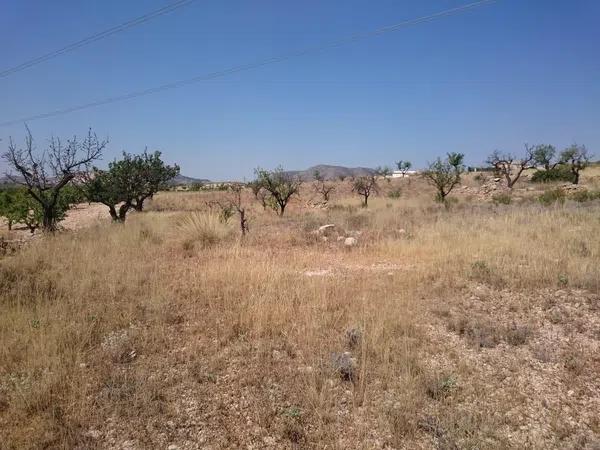 Terreno en Hondón de las Nieves